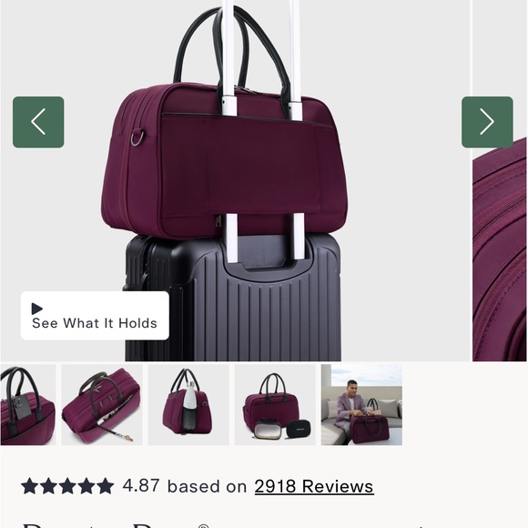 NWOT Nomad Lane Bento Bag - Venetian Violet - Picture 11 of 16